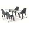 Tessa Fabric Chair Grey with Black Metal Legs (4s) - luxury dining furniture